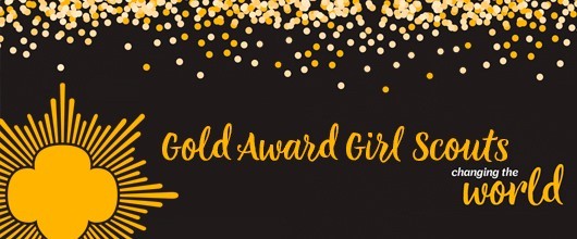 Girl Scout Gold Award Weekly Highlights 1513